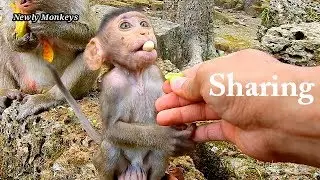 Enjoy sharing.. | Cameraman happy to feeds some lotus and mango to Brianna's family