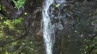 10-4-25 Kaau Crater Falls [4K]
