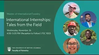 MIF International Internships: Tales from the Field