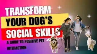 Transform Your Dog's Social Skills: A Guide to Positive Pet Interaction