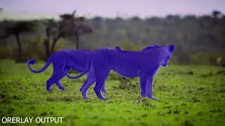 VFX artist  roto paint