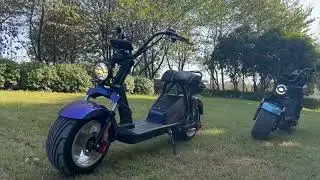 Citycoco electric scooter factory price