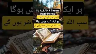 Surah Maryam | Ayat 93 -98|#Heart Touching Quran Tarjuma #Translation #shortsfeed #ytsearch #islamic