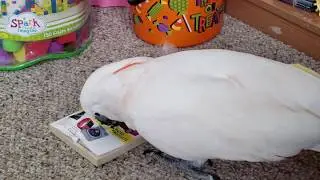 How Does Max Read A Book ?