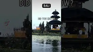 6 Second Travel Trivia - Bali, Indonesia #travel #shorts