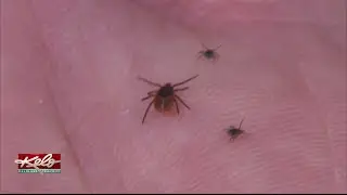 Lyme Disease In All 50 States