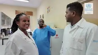 Building Laboratory Capacity for Yellow Fever Testing in Eritrea