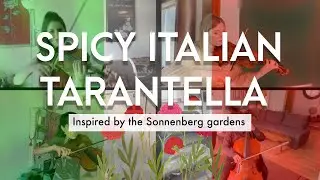 String Quartet Music - 'Tarantella' 💃 from the 'Sonnenberg Suite' - Neo Romantic Music