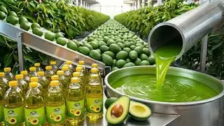 Inside a Factory: How Avocado Oil Is Made at Scale (Full Process)
