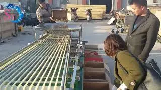 Full Automatic Medium And Small Peach Grading Machine/Onion Classifier/Kiwi Fruit Sorting Equipment