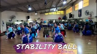 STABILITY BALL WORKOUT