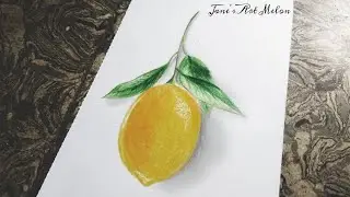 How to draw lemon with colour pencils | Jane's Art Melon #howtodrawlemonwithcolourpencils