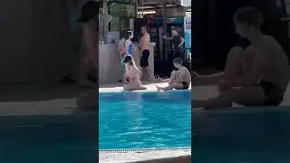 ЗАЧЕМ И НА*УЯ?😂#shorts #lol #moments