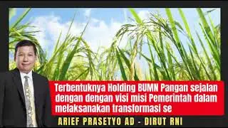 Pembentukan Holding Pangan Upaya Transformasi