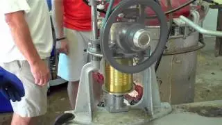 Canneries in Georgia