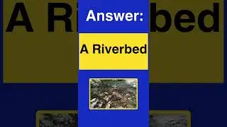 Riddle Part 1 #quiz #facts #geography #guessthecountry #facts #world #world #quiztime #riddles #asia