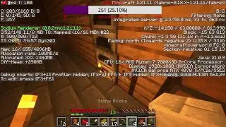 Minecraft Hardcore part 2