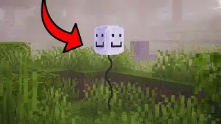 TALÁLTAM EGY LUFIT A MINECRAFTBAN ÉS EZ TÖRTÉNT... 😱