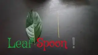 Leaf Spoon !!!