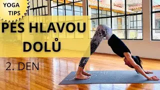 JAK SPRÁVNĚ PROVÉST POZICI PSA HLAVOU DOLŮ? I JÓGOVÉ TIPY