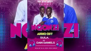 NGONZI (LOVE) - SULA FT DAN DANIELS (OFFICIAL MUSIC VIDEO)