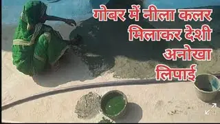 गोबर में नीला रंग मिलाकर आंगन के देसी अनोखा लिपाई ऐसे करी | Village life