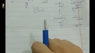 Development of kidneys Quickly in 5 min / easy flowchart / Urogenital system embryology