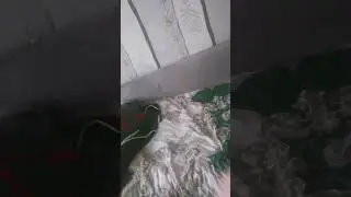 27 мая 2023 г.