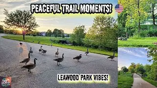 Tomahawk Creek Parkway Lake Park in Leawood, KS | Geese, Lakes & Peaceful Trails! (Part 1) 🇺🇸
