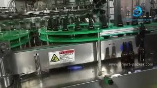 High speed automatic rotary glass botte beer bottle rising washing cleaning machine line