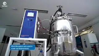 Pilot Bioreactor - 150L