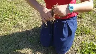 Little Miss Primitive Fire Starter
