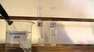 C + HCl