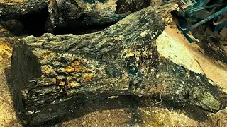 Mango Tree Mastery: Crafting a Live Edge Table with Woodworking Expertise - Unique Wood Creations