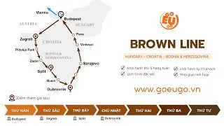 [GOEUGO] BROWN LINE - TUYẾN N&Acirc;U C&Oacute; G&Igrave;?