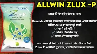 Allwin Zlux-p | गेहूं में Zlux-P का रिजल्ट | Ramcides Allwin zlux-p | देखे किसान की जुबानी zlux-p |