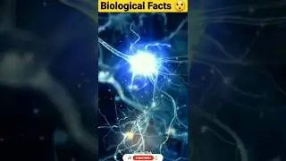 Amazing Facts About Biology🤗🤯🧐||3 biological facts||#biological #facts #video #viral #shorts