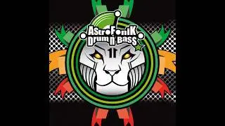 MATT TRACKER, EPEAK, RANKING SAIDEN, DIJEYOW, 4CORNERS, LOW5 - AstroFoniK DrumNBass 11