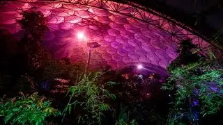 Enchanted Rainforest at the Eden Project, December 2014