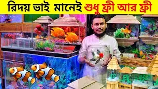 Aquarium Price In Bangladesh। Aquarium Fish Price In katabon। Aquarium Fish Price In Bangladesh