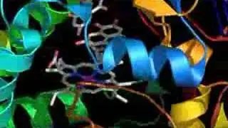 P450 Coupling Enzyme Active Site