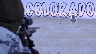 Coyote Hunting Wide Open Country | Daytime Action