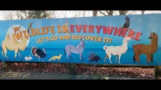 London Wildlife Park - Experience A World Of Wildlife @LondonZoo