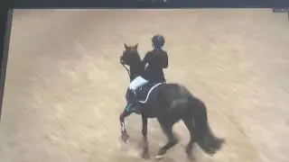 Vigo Vi 1.30m Grand Prix Olympia qualifier