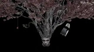 Psihotrop - Solip