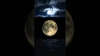 Как лунные циклы идеально совпадают с 13-месячным календарем