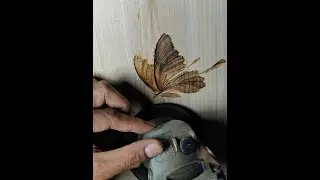 #Trending #ButterflyLovers #OriginalWork #StressRelief #ChallengeTheImpossible