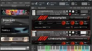 Cinesamples - Deep Percussion Beds 2 - DEMO