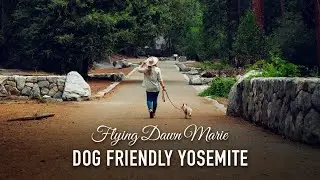 155: Dog-Friendly Spots in Yosemite National Park - Best PET-FRIENDLY Hikes & Activities