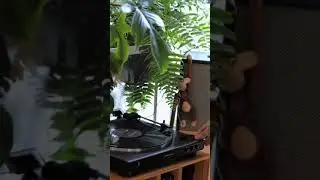The Perfect Home Audio Setup
